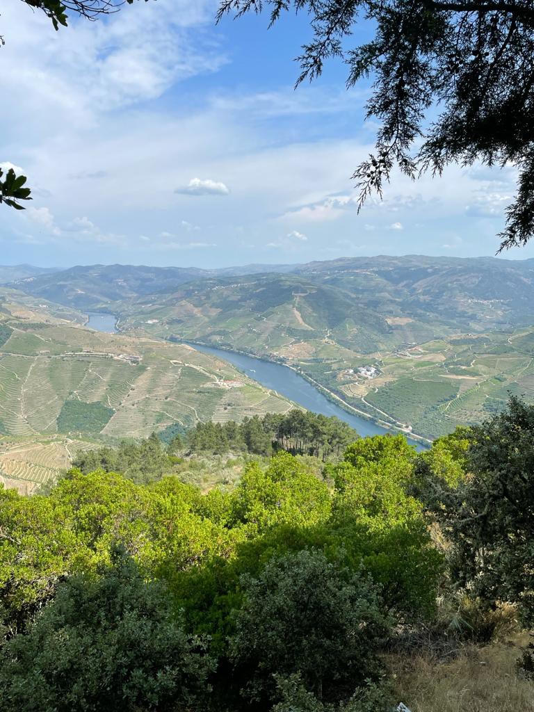 30395ba9-c583-47b5-9da2-72fda193cff7