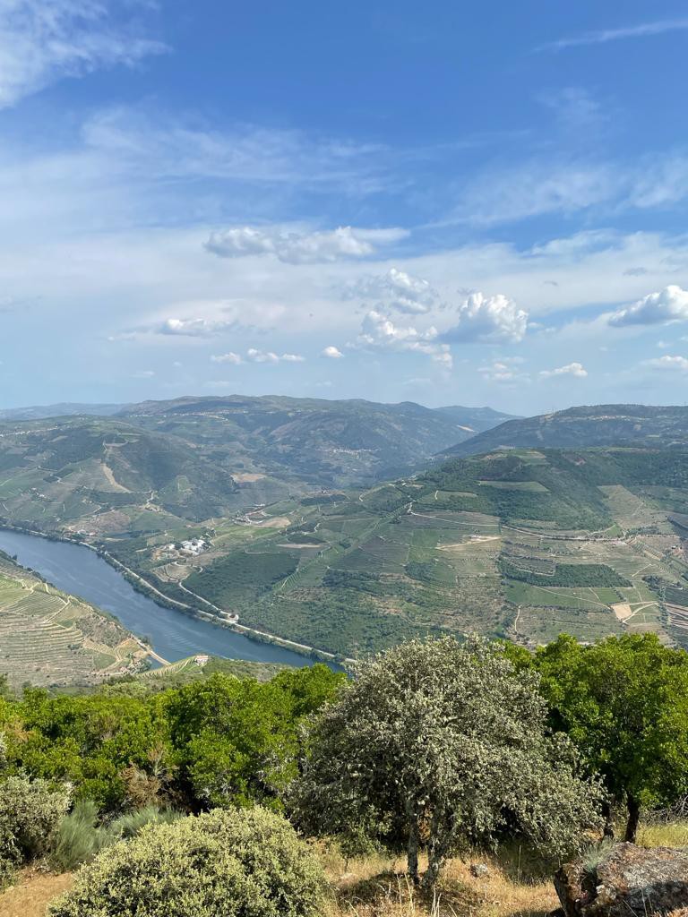 85d71b12-c686-43b3-be54-21a69b0f35ac