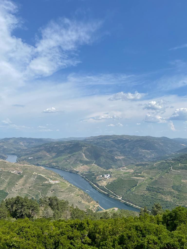 96639790-ee16-482f-a734-af99b5f75fd7