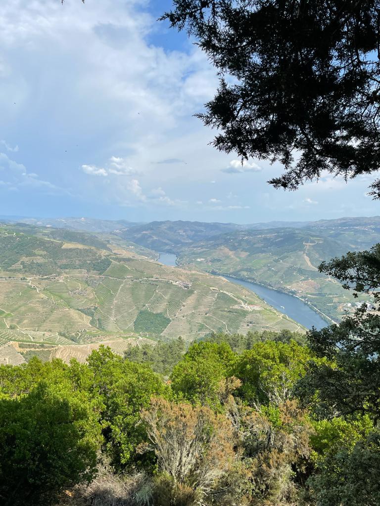 PHOTO-2021-06-12-23-00-48 10