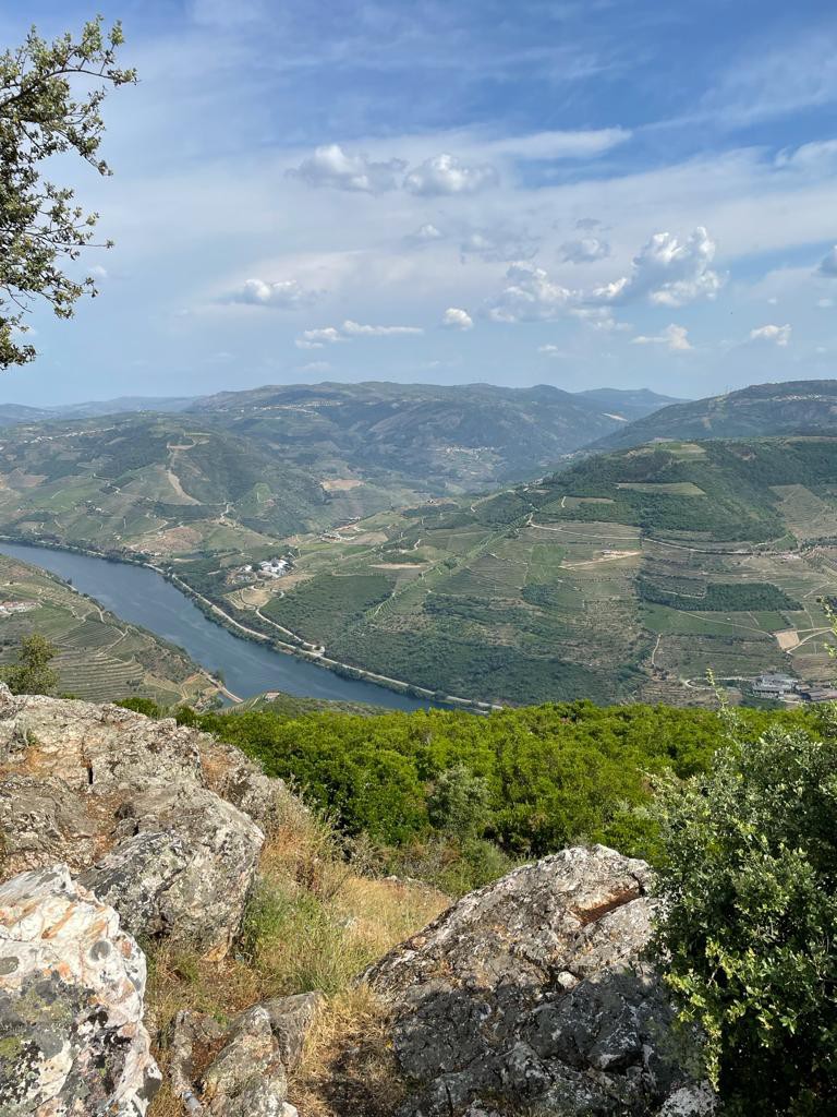 PHOTO-2021-06-12-23-00-48 2