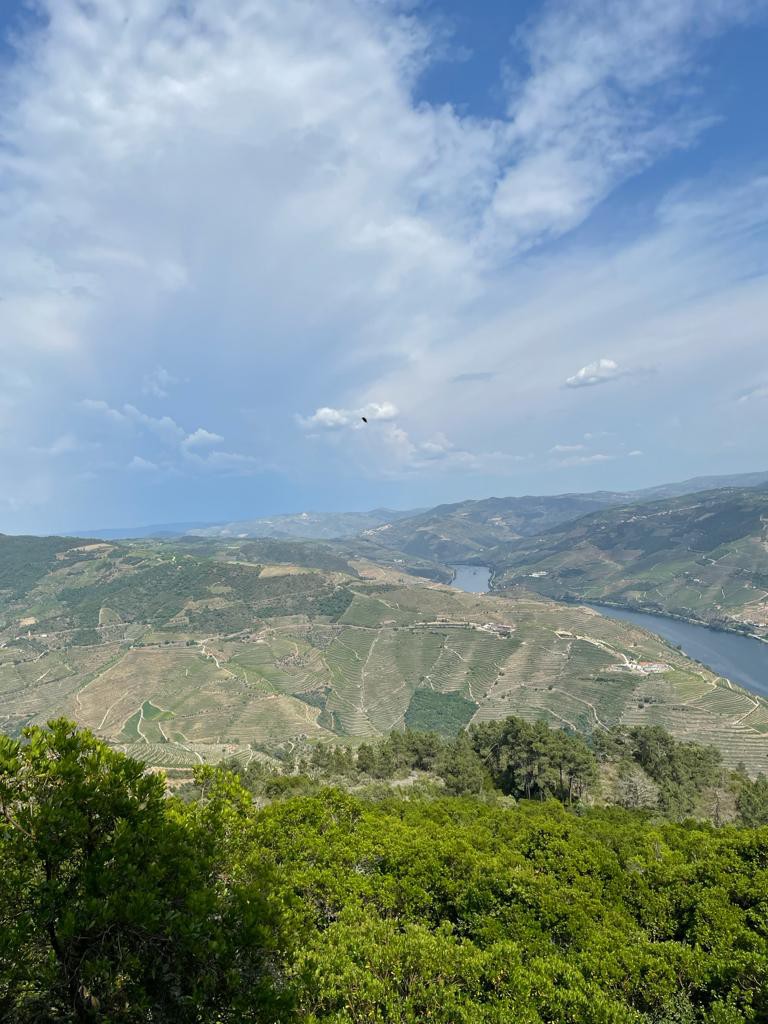 PHOTO-2021-06-12-23-00-48 3