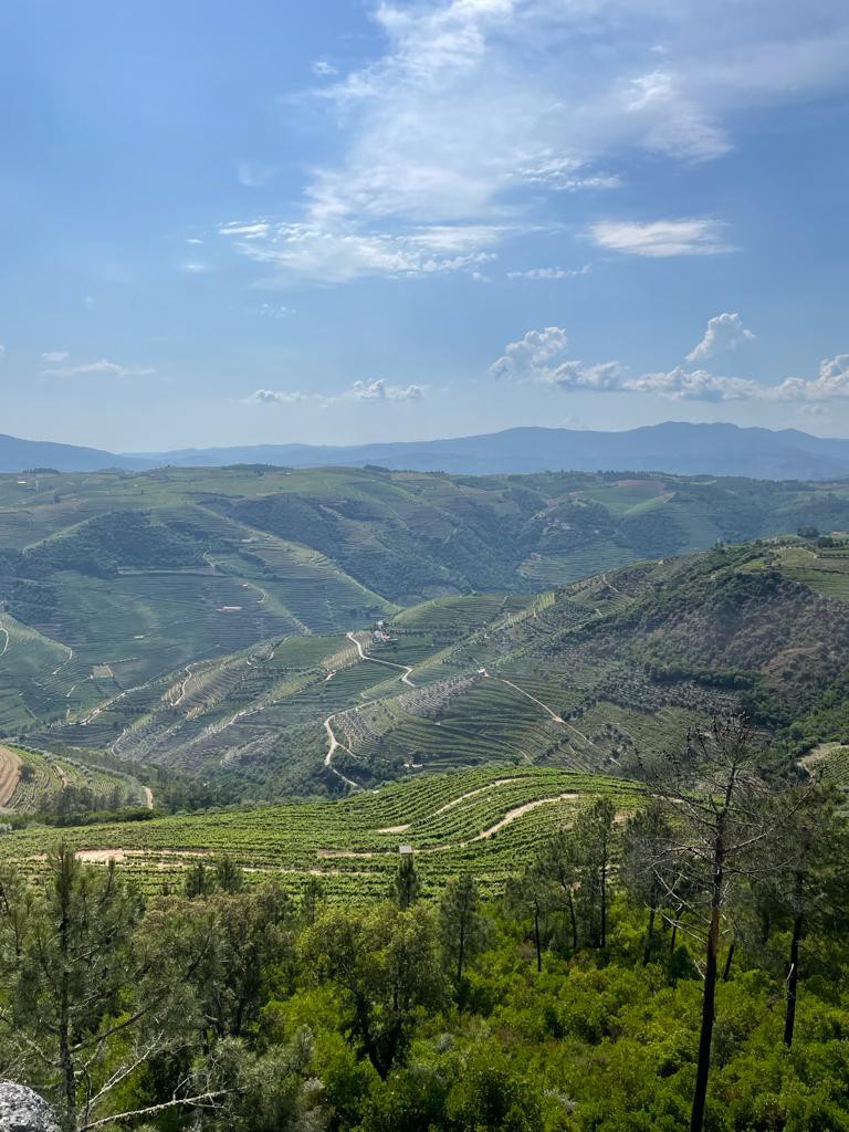 PHOTO-2021-06-12-23-00-48 8