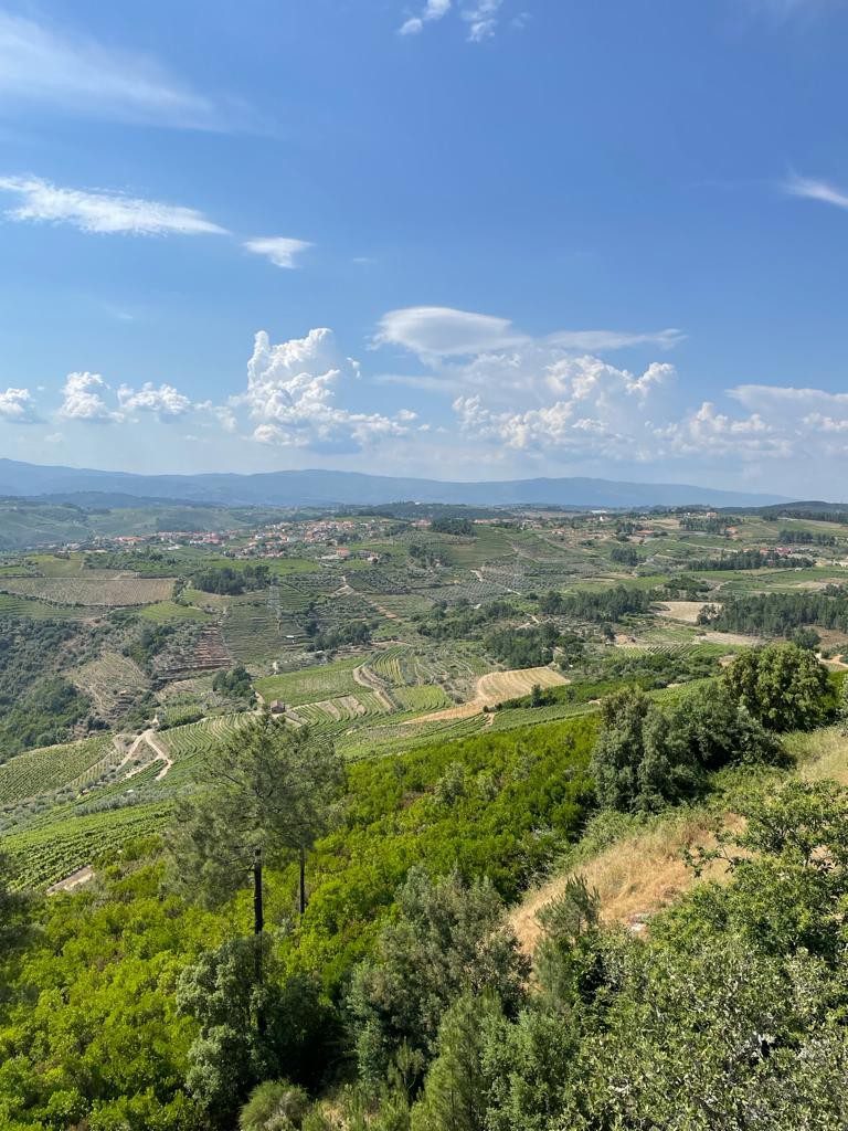 e478ebb9-25e8-486c-afd9-8f7054ffff26